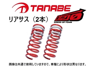 タナベ DF210 ダウンサス (リア左右) エルグランド AVE50/ALE50/ATE50/APE50　ALE50DR