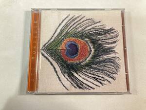 【1】M7216◆XTC／Homespun◆XTC／ホームスパン◆輸入盤◆