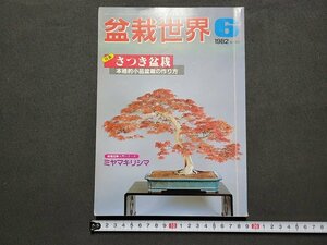 n★　盆栽世界　1982年6月号　特集・さつき盆栽　本格的小品盆栽の作り方　樹石社　/ｄ22