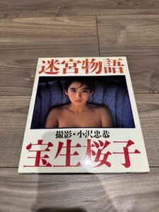 宝生桜子 写真集 迷宮物語 ワニブックス 撮影 小沢忠恭 1987年