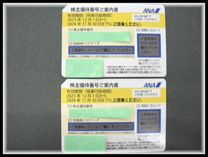 【2枚セット】 65403ST ANA 株主優待番号ご案内書 2024年11月30日まで 送料無料 番号通知のみも可 株主優待券 全日空