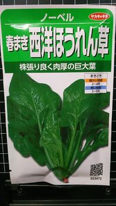 ３袋セット 西洋 ほうれん草 ノーベル 春まき ホウレンソウ 種 郵便は送料無料