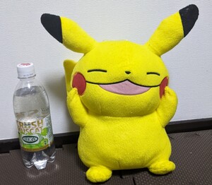 ポケットモンスター ピカチュウ ぬいぐるみ 管理1