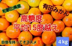 和歌山県有田産　平均糖度15度越え❗小玉みかん　４kg　みかんキング