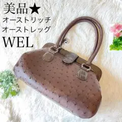 美品★ WEL 保証　リアル　オーストリッチ　オーストレッグ　ハンドバッグ