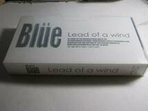 BLUE ブルー / LEAD OF A WIND 配布VHS JILS Kain C