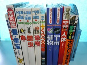 【図鑑】《まとめて11点セット》小学館の図鑑NEO/くらべる図鑑/学研の図鑑LIVE/人体/恐竜/昆虫/星・星座/動きだす世界地図 他