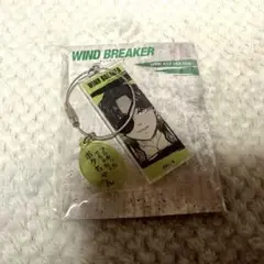 WIND BREAKER ウィンブレ ワイヤーキーホルダー 蘇枋