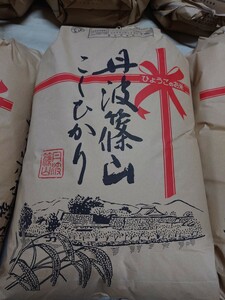 丹波篠山産 令和6年度 新米 コシヒカリ玄米 10kg