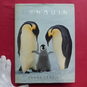 w13/洋書【ペンギン:PENGUIN/TASCHEN・1991年】ペンギン好きな方へ