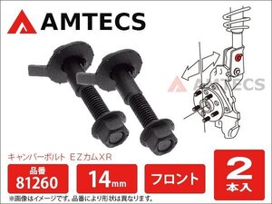 キャンバー調整ボルト フロント用 エクストレイル DNT31 NT31 T31 TNT31 H19.8～H25.12 FF/4WD 81260