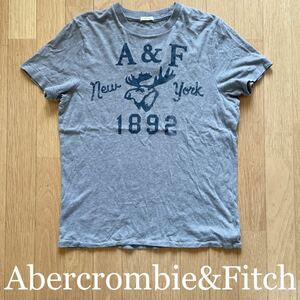 美品 アバクロンビー&フィッチ グレーTシャツ Abercrombie&Fitch サイズM