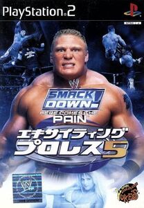 エキサイティングプロレス5/PS2