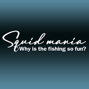 スクイッドマニア　Sportsmind風ステッカー Why is the fishing so fun?どうして釣りはこんなに楽しいのか？NO520