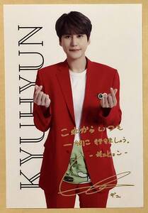 SUPER JUNIOR SJ キュヒョン ギュ KYUHYUN ELF ポストカード ポスカ トレカ ELF-JAPAN 日本 ファンクラブ 特典 photocard