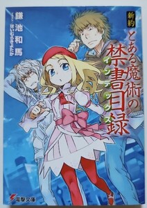 新約 とある魔術の禁書目録 鎌池 和馬 アスキー・メディアワークス 電撃文庫 小説 ラノベ 20240330 kmdkusk 202 sm h 0208