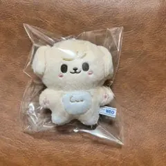 stray kids スンミン　ぬいぐるみ　10cm 新品　マスター