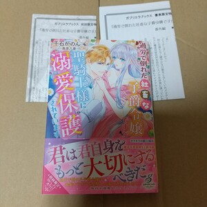 過労で倒れた社畜な子爵令嬢ですが聖騎士様に溺愛保護されています （ガブリエラブック） 千石かのん／著 特典２種付き