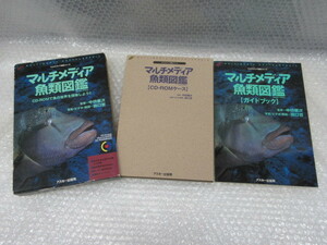 マルチメディア図鑑 シリーズ/マルチメディア 魚類 図鑑/CD-ROM付/田口哲/中坊徹次 監修/アスキー出版局/1996年 初版