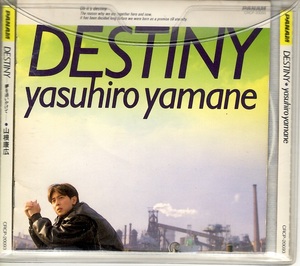 〇　山根康広　/　DESTINY