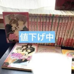 中村春菊　純情ロマンチカ他まとめ売り24冊他特典おまけ付き