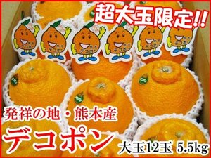 【Good】驚きの超大玉！発祥の地・熊本産 JA熊本果実連産 デコポン 特大12玉 約5.5kg