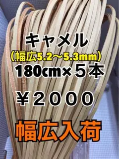 グラブレース　幅広キャメル　180cm×５本