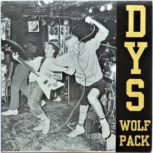 【1989年コンピ盤/ボストンハードコア名盤/貴重マーチャンインサート付き】DYS / Wolfpack