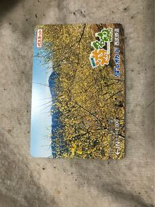 パスネット西武鉄道遊名山長瀞ロウバイ