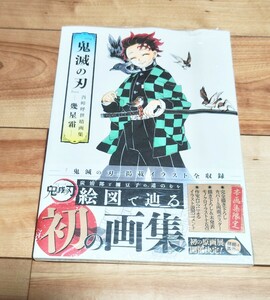 鬼滅の刃 幾星霜 吾峠呼世晴画集 吾峠呼世晴 イラスト集 集英社 画集 炭治郎 禰豆子 新品 未開封 極美品 マンガ アニメ 初版 鬼滅