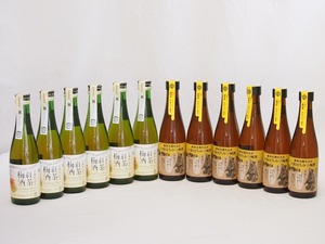 12本セット(古酒仕込み 紅茶梅酒　11% 純米古酒仕込み 大阪はちみつ梅酒) 300ml×12本