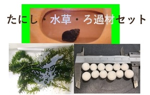 たにし30匹 水草30本 ろ過材50ｇ 送料無料 水質浄化 水槽 水草 メダカ 飼育 ろ材