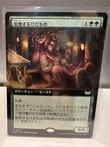 MTG　管理するけだもの　Curator Beastie　拡張アート　日本語版　1枚　ダスクモーン