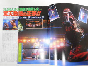 週刊ゴング増刊号　新日本プロレス1993年5月3日福岡ドーム　グレート・ムタVSハルク・ホーガン、獣神サンダー・ライガーVSタイガーマスク