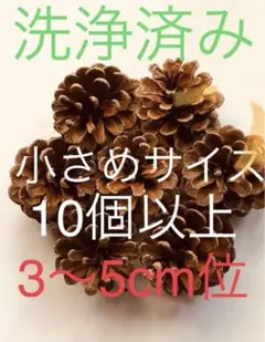 ❤️松ぼっくり❤️10個入り95 小さめサイズ　ラスト2点