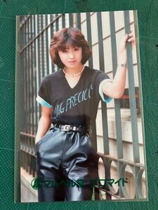 【未開封】三原順子　マルベル堂プロマイド写真　黒Tシャツ ツッパリ娘　茶髪　昭和タレント　