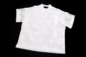 ☆美品2020☆tricot/COMME des GARCONSコムデギャルソン/チュールプルオーバー：白xw924