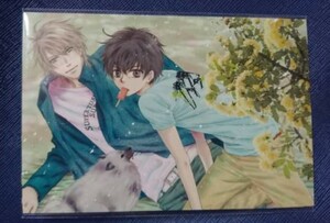 エメラルドギャラリー あべ美幸 ポストカードセット SUPER LOVERS 八犬伝