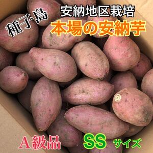 種子島　農家直送！安納地区の安納芋　SS ２キロ　A級品