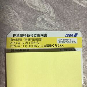 ANA　株主優待券　1枚　全日空　　有効期間　2023年12月１日～2024年11月30日　即決　送料込み