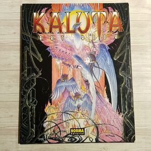 イラスト集[マイケル・カルタ KALUTA ART BOOK] アメコミ シャドウ 指輪物語