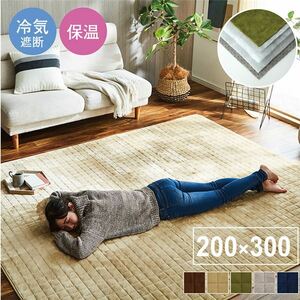 【新品】ラグマット/絨毯 〔ベージュ 約200×300cm〕 洗える 防滑加工 保温 蓄熱 断熱 アルミ 無地 ホットカーペット対応 〔リビング〕〔代