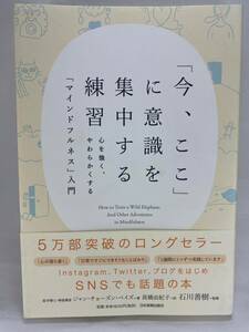 「今、ここ」に意識を集中する練習 「マインドフルネス」入門 ジャン・チョーズン・ベイズ 高橋由紀子 石川善樹 瞑想 Mindfulness