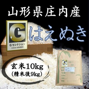 ◆Ｇセレクション！新米！令和６年産！山形庄内産はえぬき玄米１０kg（白米９kg）送料無料