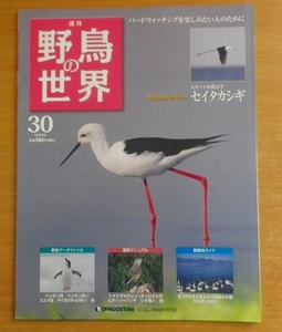 週刊野鳥の世界　30