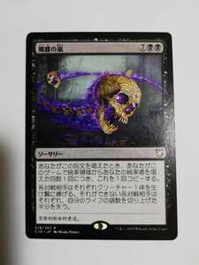 MTG マジックザギャザリング 髑髏の嵐 日本語版 1枚