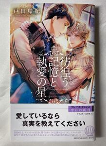 BL小説 「彷徨う記憶と執愛の星」戸田環紀