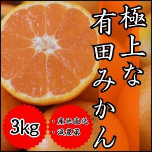 3㎏ 極上な有田みかん 衝撃コスパ 蜜柑 減農薬 ミカン 産地直送 甘い 高糖度 超濃厚 魅惑の 贅沢な一品 リッチ 売り切れご免 C2