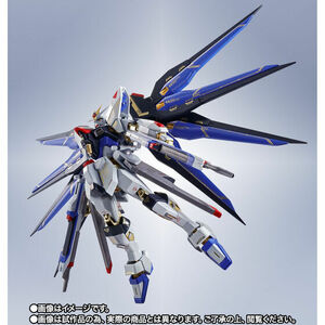 数量2輸送箱伝票貼り跡無 新品METAL ROBOT魂 ＜SIDE MS＞ ストライクフリーダムガンダム 20th Anniversary Ver. SEED DESTINY FREEDOM 