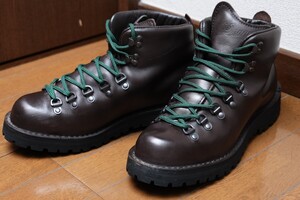 Danner　ダナー　マウンテンライト　us10 ゴアテックス　ブーツ　メンズ　ダナーライト　 マウンテンブーツ 30800